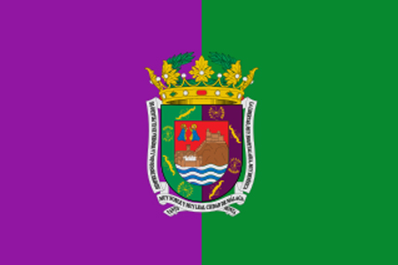 curso de coordinador de seguridad y salud Málaga